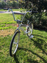 Load image into Gallery viewer, Custom 24&quot; BMX Cruiser
